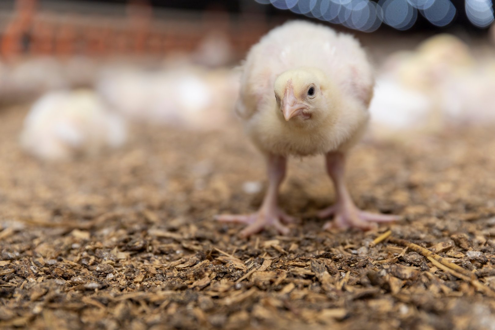 TOPスライド画像02